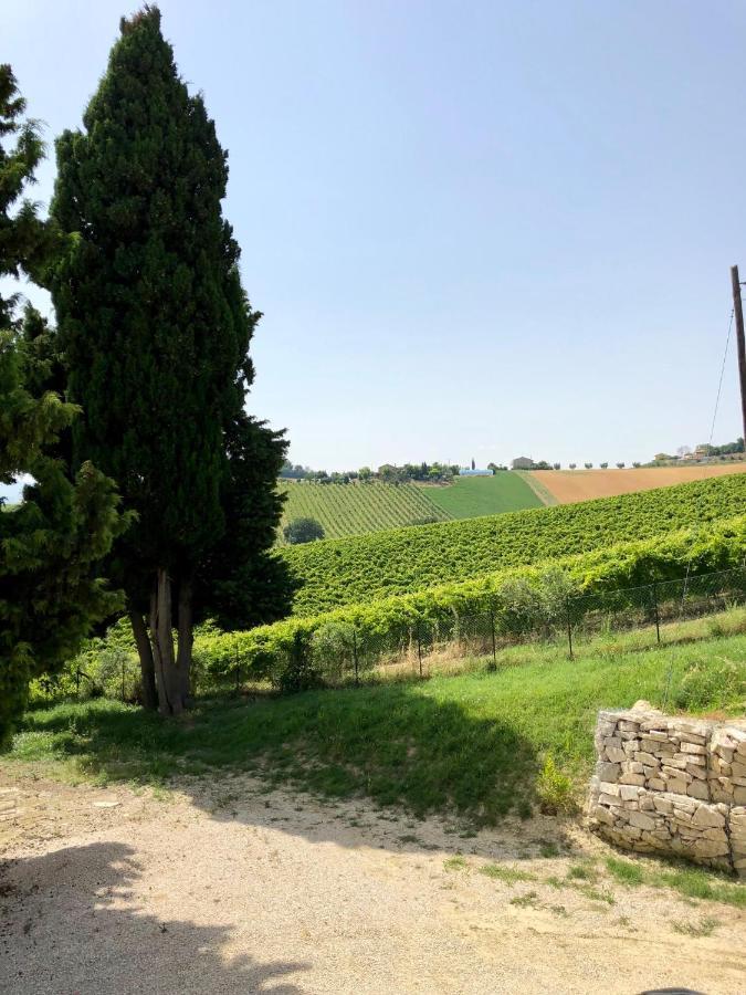 Santa Caterina